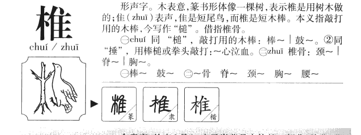 椎字字源字典