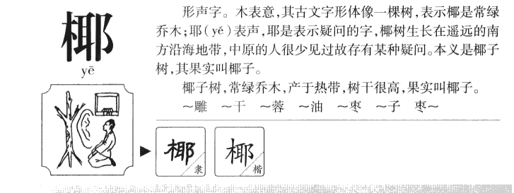 椰字字源字典