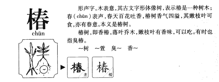 椿字字源字典