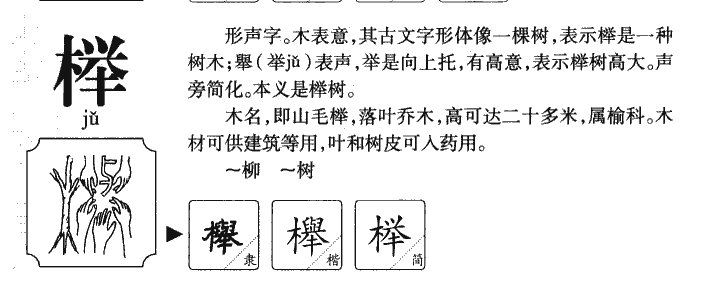 榉字字源字典