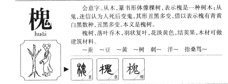 槐字字源字典