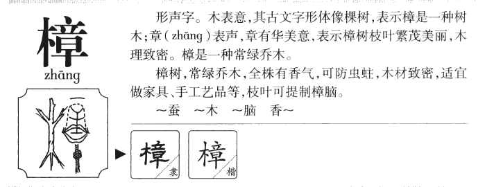 樟字字源字典