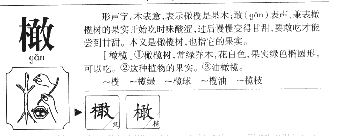 橄字字源字典