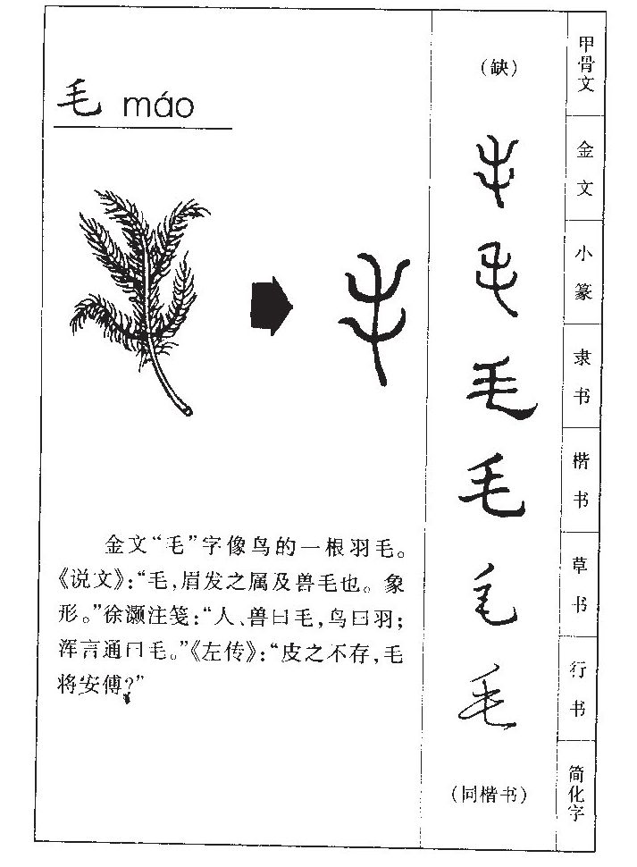 毛字字源字典