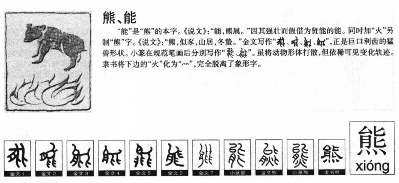 熊字字源字典