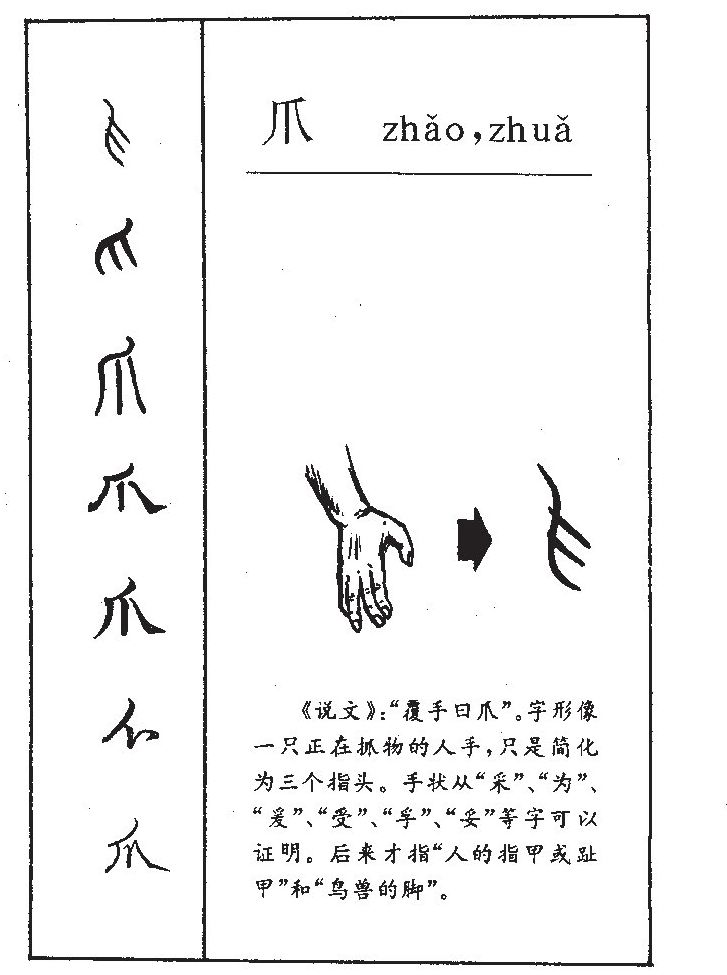 爪字字源字典