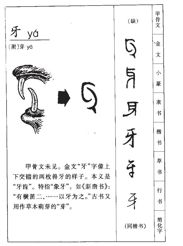 牙字字源字典