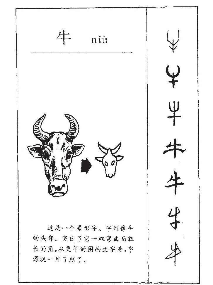 牛字字源字典