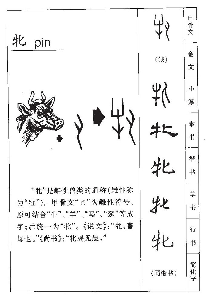 牝字字源字典