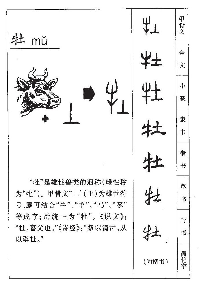 牡字字源字典