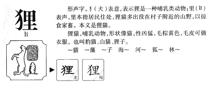 狸字字源字典