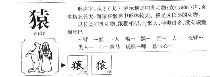 猿字字源字典