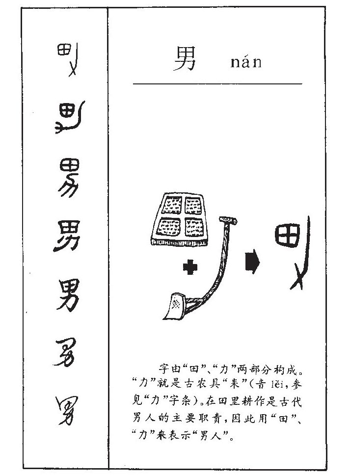 男字字源字典