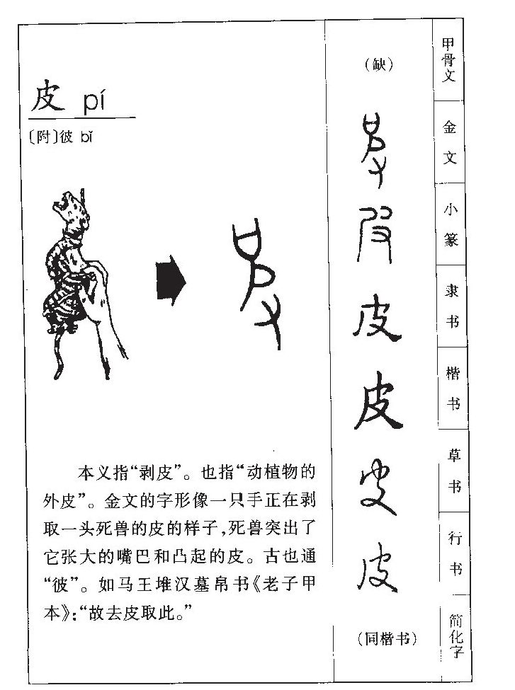 皮字字源字典