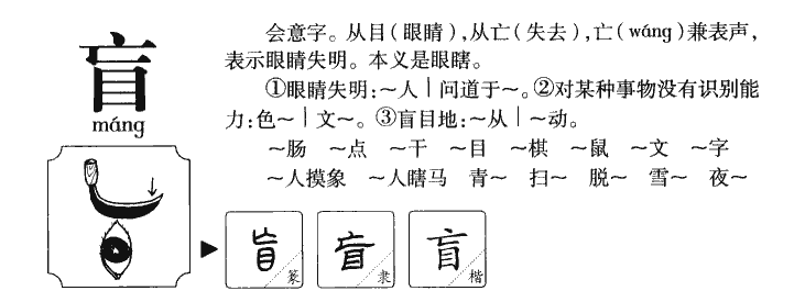 盲字字源字典