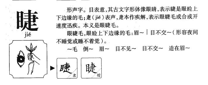 睫字字源字典