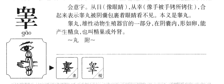 睾字字源字典