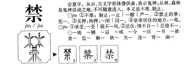 禁字字源字典