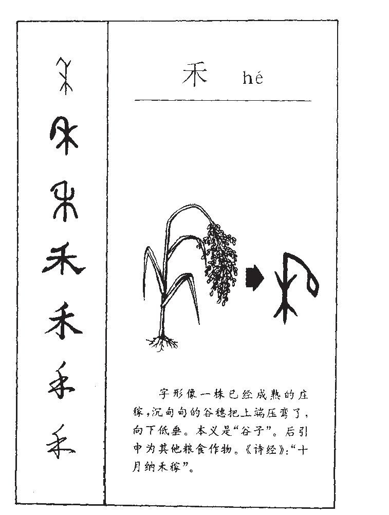 禾字字源字典