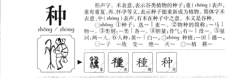 种字字源字典