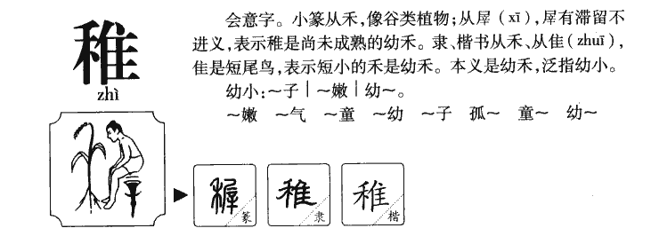 稚字字源字典