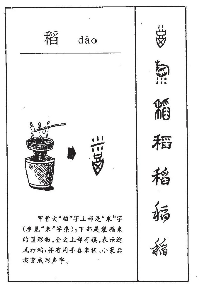 稻字字源字典