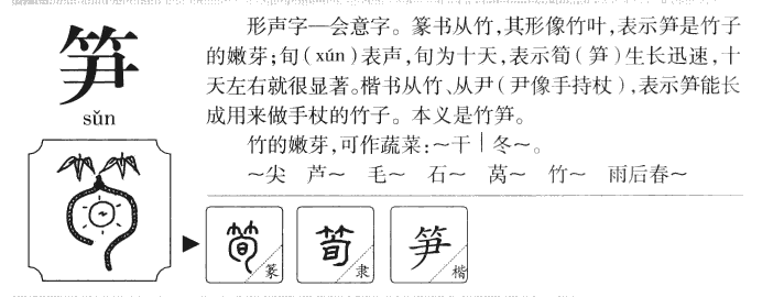 笋字字源字典