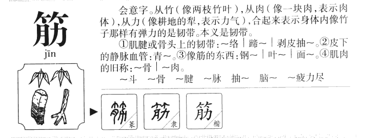 筋字字源字典