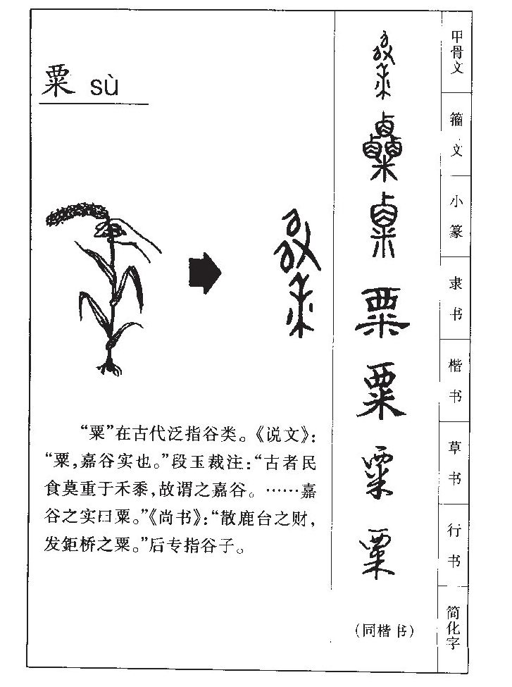 粟字字源字典