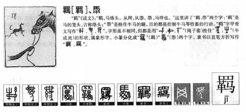 羁字字源字典