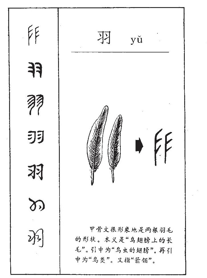 羽字字源字典