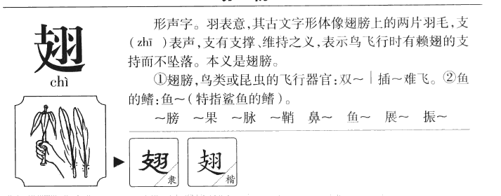 翅字字源字典