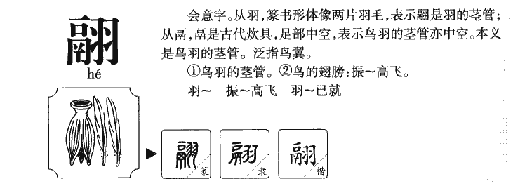 翮字字源字典