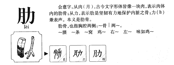 肋字字源字典