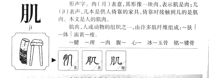 肌字字源字典