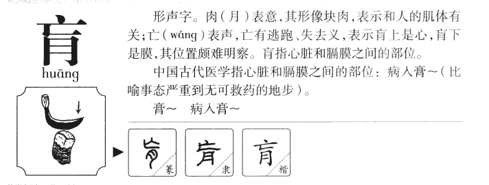 肓字字源字典