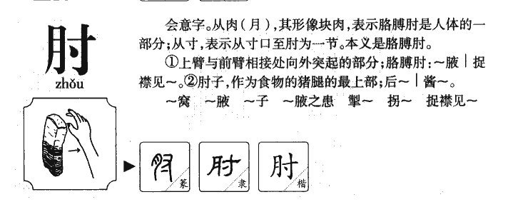 肘字字源字典
