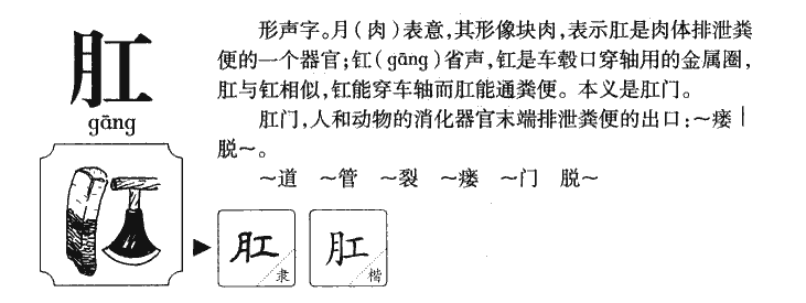 肛字字源字典