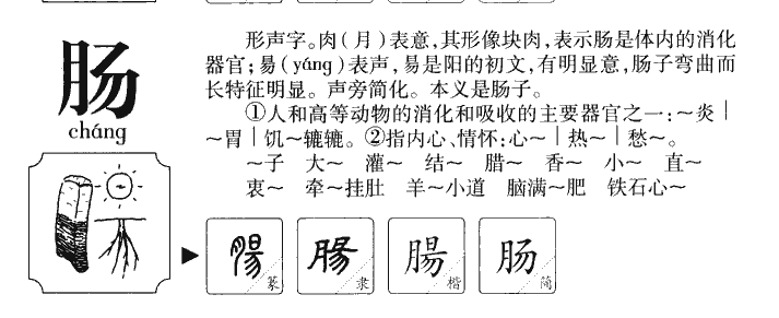 肠字字源字典