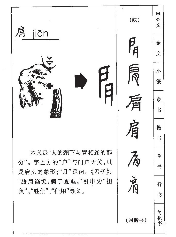 肩字字源字典