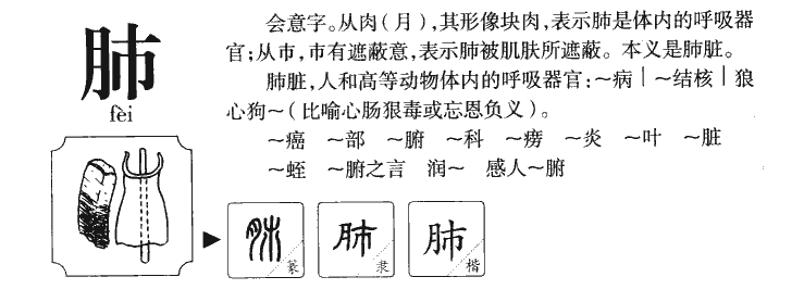 肺字字源字典