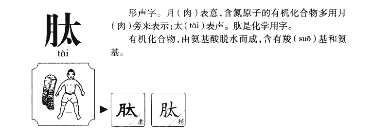 肽字字源字典