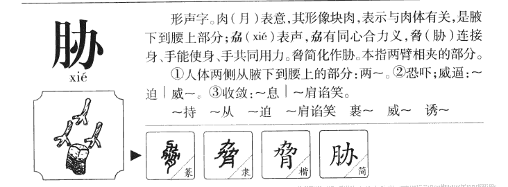 胁字字源字典