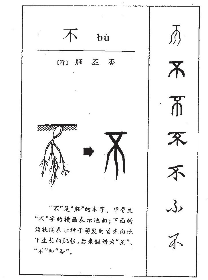 胚字字源字典