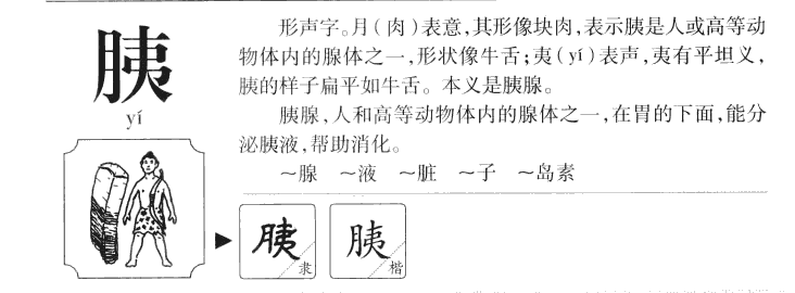 胰字字源字典