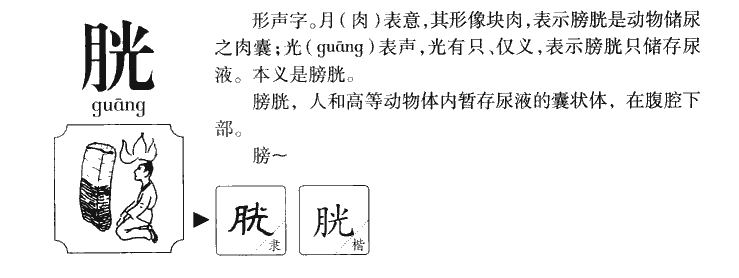 胱字字源字典