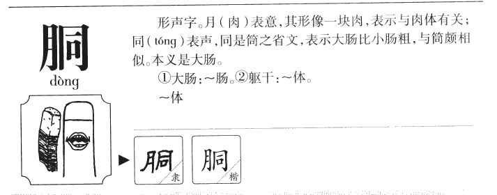 胴字字源字典