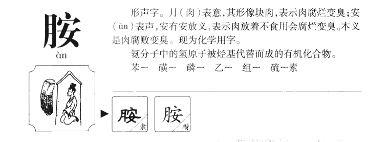 胺字字源字典