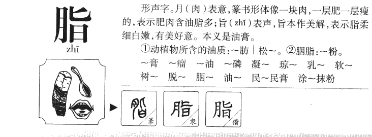 脂字字源字典