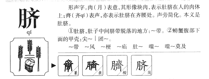 脐字字源字典